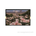 10.1 Inch 1200nit i fafo o le Angdoor Pass LCD Vaega